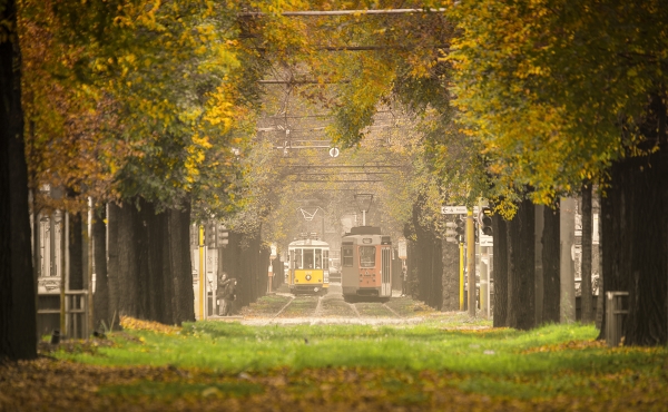 foto-i-tram-e-le-foglie-autunnali-10772